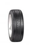 GAMMA